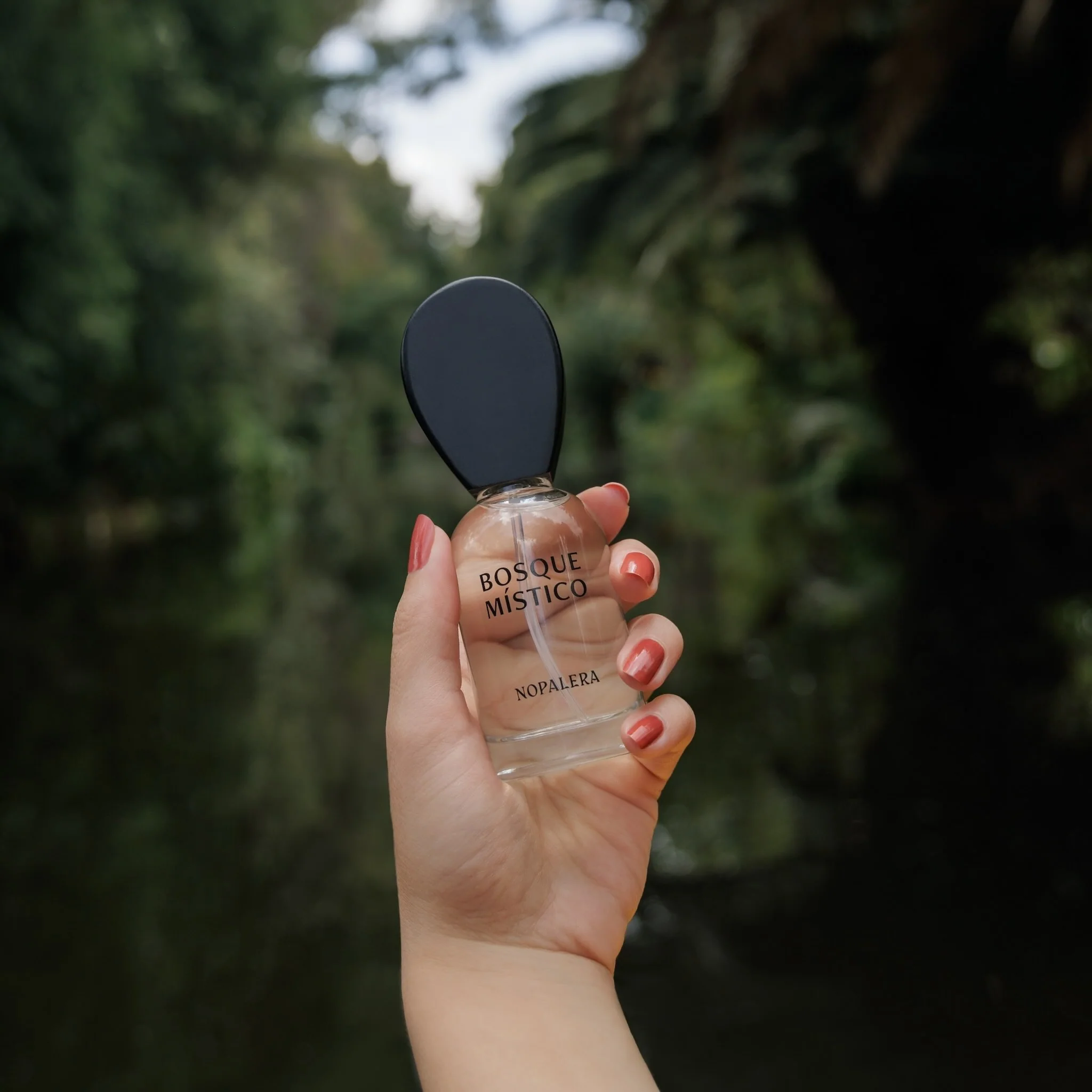 Bosque Místico, 50ml Perfume - Image 3