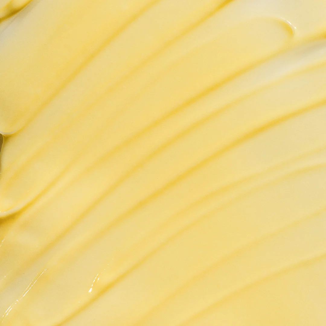 Wholesale Tester: Cactus Body Cream, Dulce de Cuerpo - Image 2